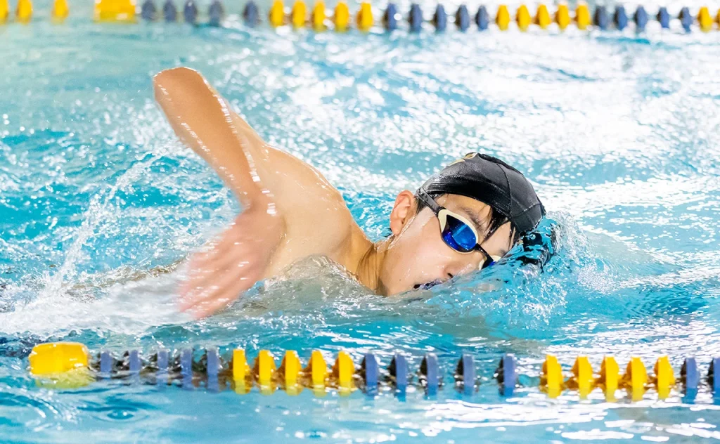 ダウンロード (8) (1)