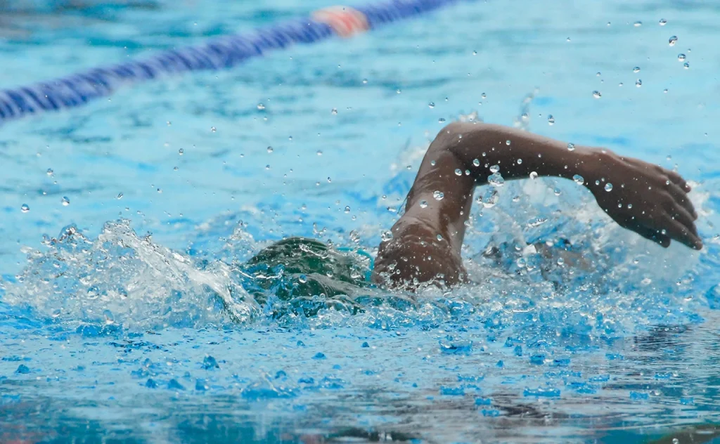 ダウンロード (9) (1)